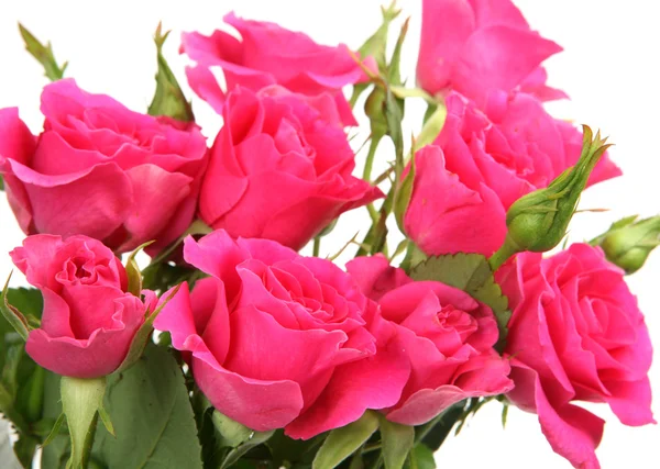 Pink roses bouquet  — Stockfoto